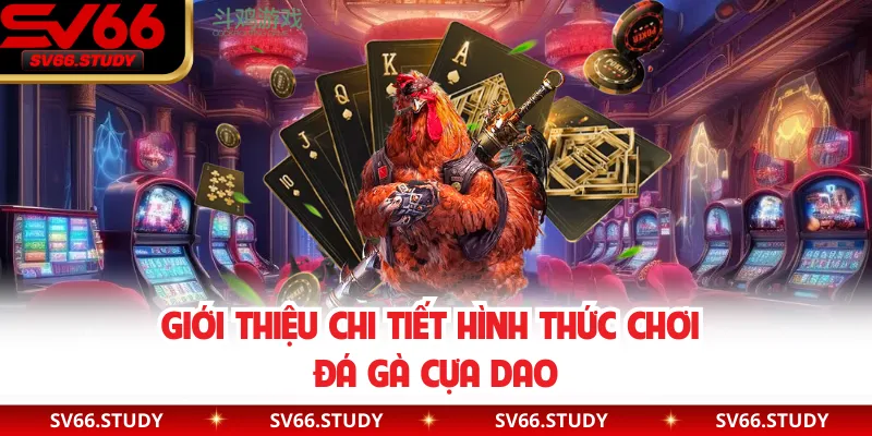 Giới thiệu chi tiết hình thức chơi đá gà cựa dao